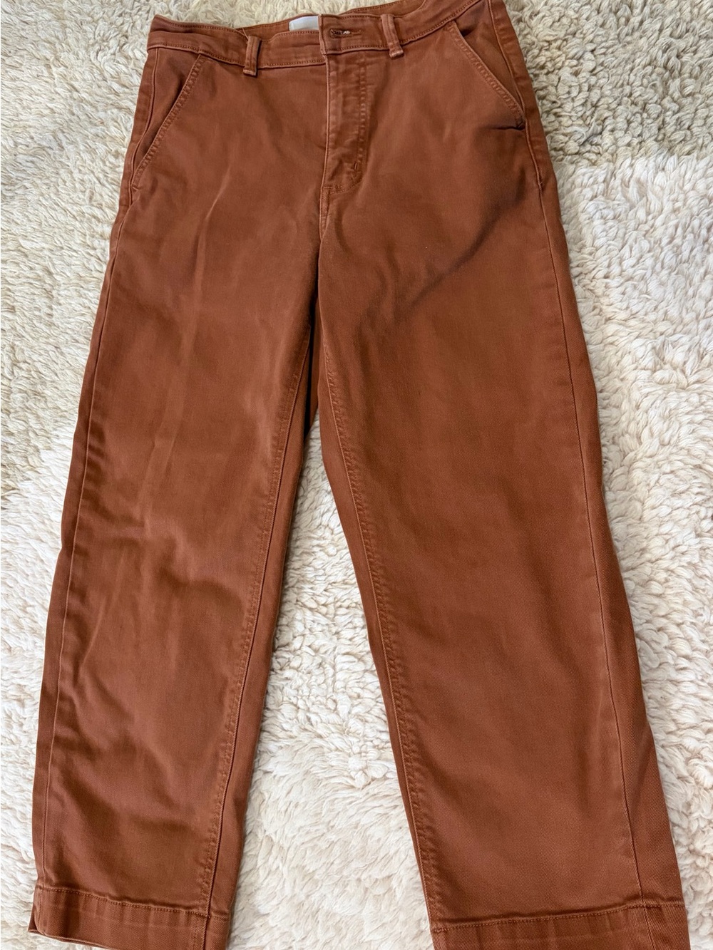 Everlane Straight Leg Crop Pants in Rust red/brown *fit like 6*